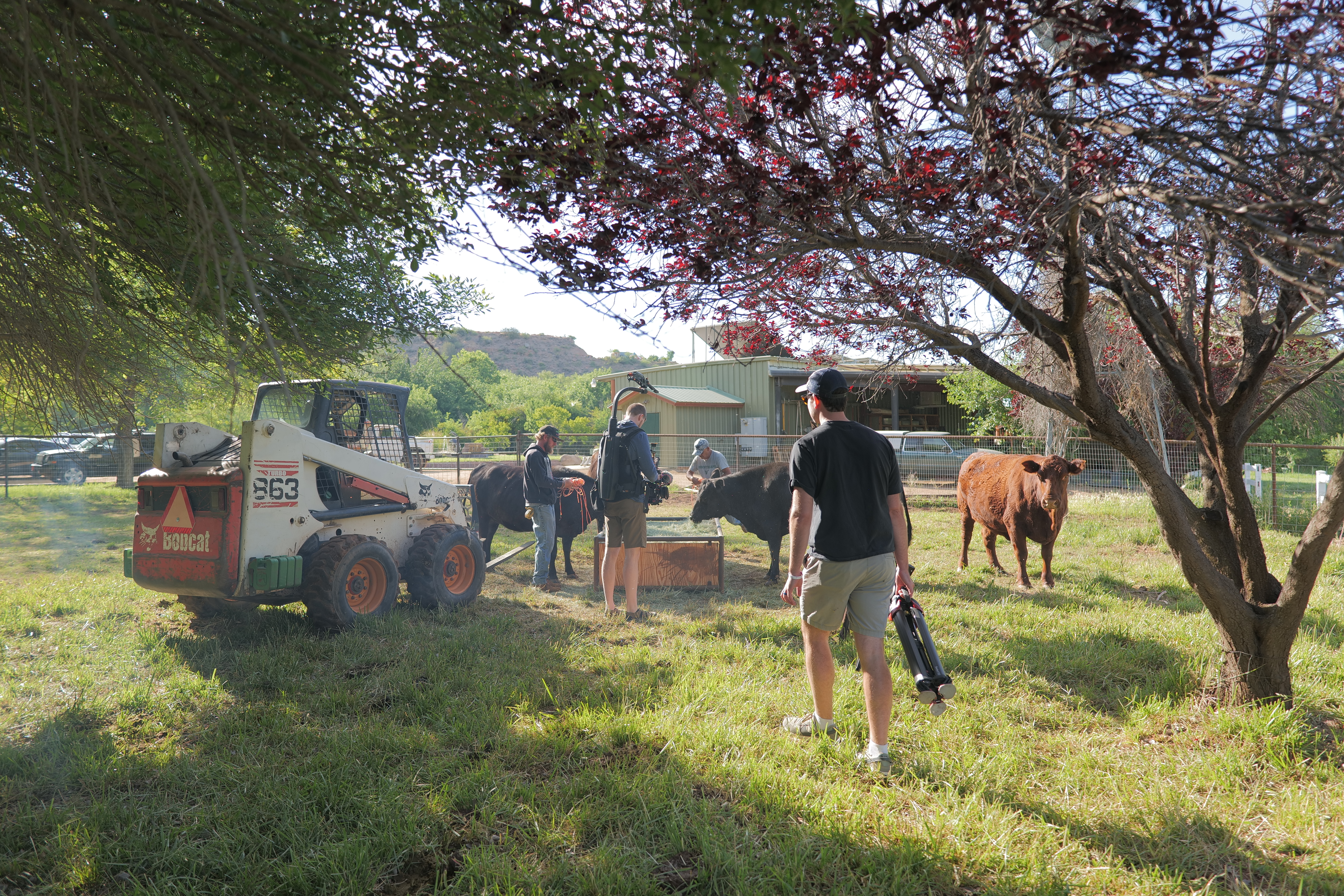 Behind the scenes at Selah Carefarm