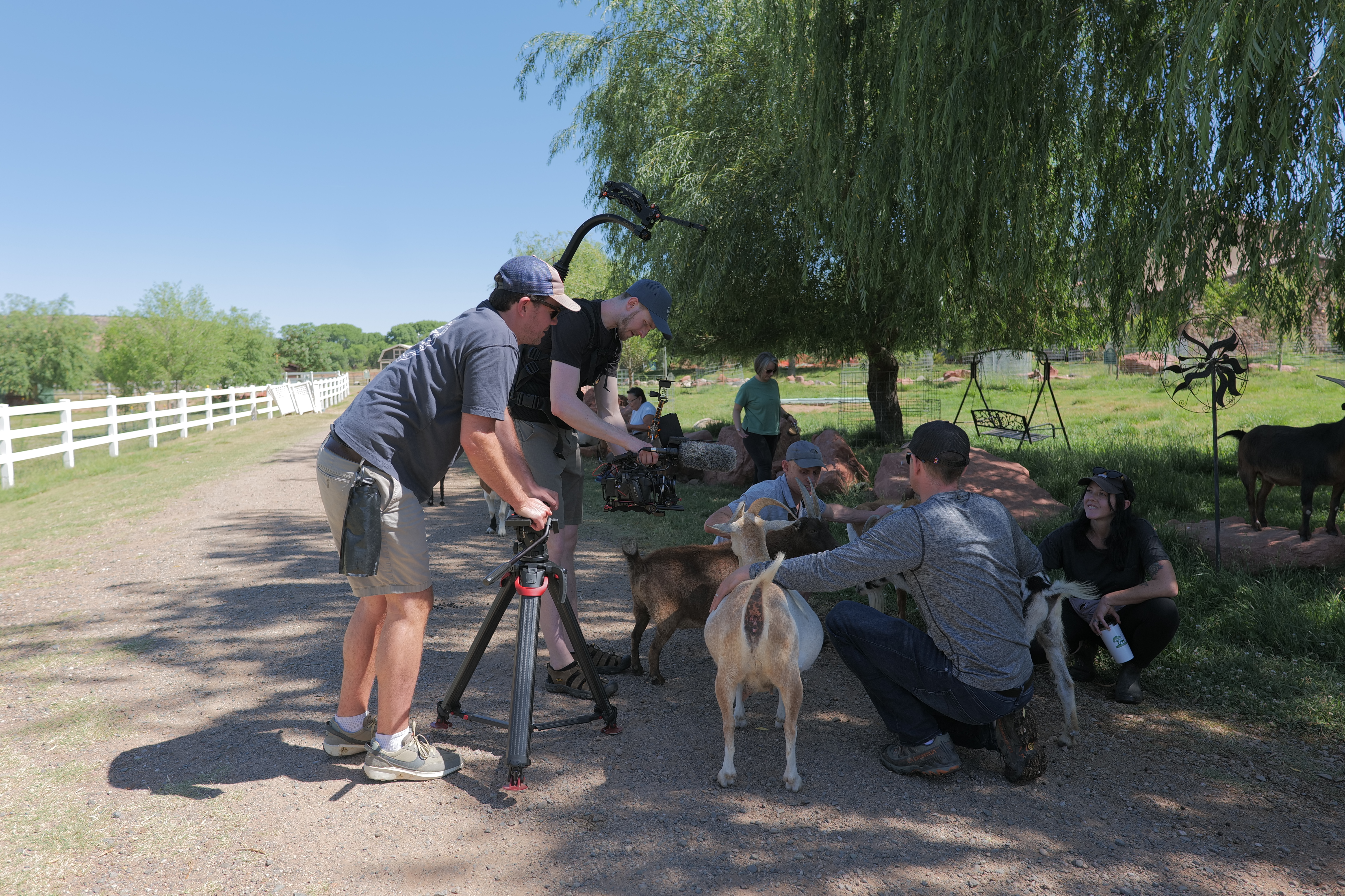 Behind the scenes at Selah Carefarm